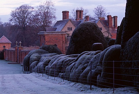 PACKWOOD_HOUSE__WARWICKSHIRE__IN_WINTER_FROST_ON_CLOUD_HEDGING_IN_THE_TOPIARY_GARDEN_WITH_THE_HOUSE_