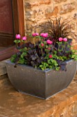 METAL CONTAINER ON STEP PLANTED WITH HEUCHERA AND ANEMONE. DESIGNER: CLARE MATTHEWS