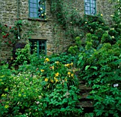 STONE STEPS LEADING UP TO COTTAGE SURROUNDED BY SHADY PLANTING OF EUPHORBIA  ASTRANTIA AND YELLOW HEMEROCALLIS.  EAST LAMBROOK MANOR  SOMERSET.