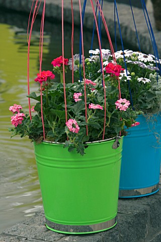 GREEN_PAINTED_CONTAINER_PLANTED_WITH_PINK_VERBENA_AND_RED_PELARGONIUMS_KEUKENHOF_GARDENS__HOLLAND