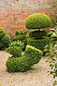 WEST GREEN HOUSE  HAMPSHIRE  SPRING. TOPIARY CHICKEN