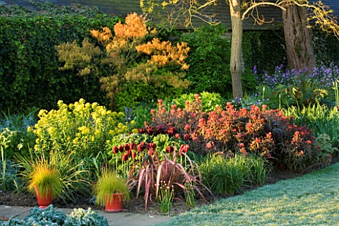 PETTIFERS_GARDEN__OXFORDSHIRE_SPRING_BORDER_WITH_EUPHORBIA_GRIFFITHII_FERN_COTTAGE__PHORMIUMS_AND_TU