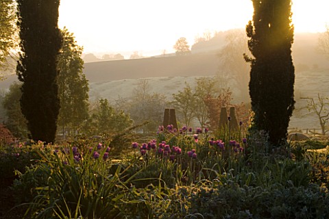 PETTIFERS_GARDEN__OXFORDSHIRE_EARLY_MORNING_SUNLIGHT_ON_A_BORDER_IN_SPRINGTIME