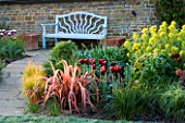 PETTIFERS GARDEN  OXFORDSHIRE: SPRING BORDER BESIDE BLUE BENCH SEAT WITH PHORMIUM  TULIP ABU HASSAN AND EUPHORBIA PALUSTRIS