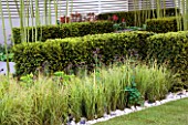 STIPA ARUNDINACEA AND BLOCKED YEW HEDGING  IN HIS LATE HIGHNESS SHAIKH ZAYED BIN SULTAN AL-NAYHANS GARDEN BY CHRISTOPHER BRADLEY-HOLE. CHELSEA 2005
