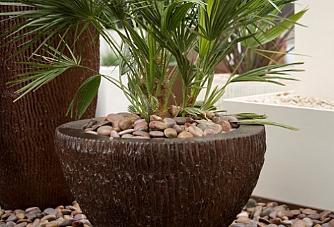 FIBREGLASS_RIBBED_CONTAINER_PLANTED_WITH_A_PALM_AND_MULCHED_WITH_PEBBLES_ON_ROOF_GARDEN_DESIGN_BY_GR
