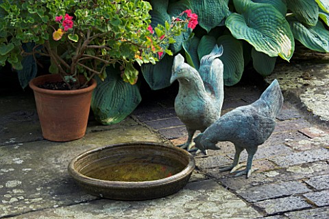 CHICKENS_AND_STONE_BIRD_BATH_ON_THE_TERRACE_JANET_CROPLEY_GARDEN__HILL_GROUNDS__NORTHAMPTONSHIRE