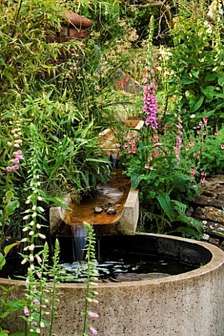 WATER_FEATURE_RILL_SPILLING_INTO_A_CIRCULAR_STONE_BASIN_WITH_FOXGLOVES_WINGWELL_NURSERY___RUTLAND