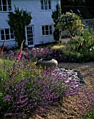 CLARE MATTHEWS GARDEN  DEVON: GRAVEL PATH LINED WITH FOXGLOVES  NEPETA WALKERS LOW  SLATE AND A LARGE URN (CONTAINER) BESIDE THE HOUSE