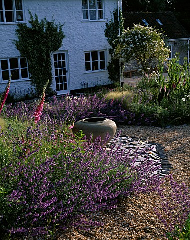 CLARE_MATTHEWS_GARDEN__DEVON_GRAVEL_PATH_LINED_WITH_FOXGLOVES__NEPETA_WALKERS_LOW__SLATE_AND_A_LARGE