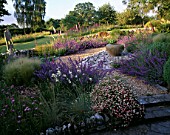 CLARE MATTHEWS GARDEN  DEVON: THE GRAVEL GARDEN WITH ERIGERON  NEPETA WALKERS LOW  SLATE  LARGE EMPTY CONTAINER  STIPA TENUISSIMA AND WOODEN THRONE CHAIR