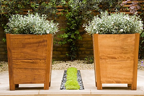 TWO_SQUARE_WOODEN_CONTAINERS_PLANTED_WITH_CONVOLVULUS_CNEORUM_SIT_ON_EITHER_SIDE_OF_PLANTED_RILL__WI