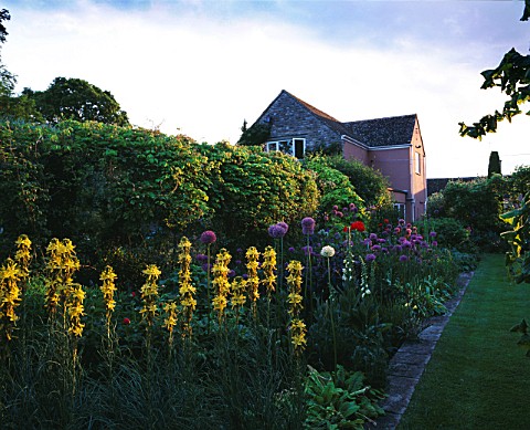 HILL_GROUNDS__EVENLEY__NORTHAMPTONSHIRE_EVENING_LIGHT_ON_BORDER_WITH_ALLIUMS_AND_HOUSE_IN_THE_BACKGR
