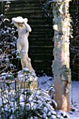 WINTER  WOODCHIPPINGS  NORTHAMPTONSHIRE: STAUTE IN SNOW BESIDE A BETULA