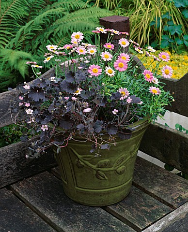 DESIGNER_CLARE_MATTHEWS_GREEN_GLAZED_TERRACOTTA_CONTAINER_PLANTED_WITH_GERANIUM_CHOCOLATE_CANDY_AND_