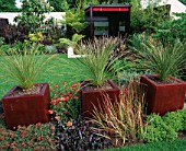 HAMPTON COURT 2005  DESIGNER SUSAN SLATER: SQUARE CONTAINERS PLANTED WITH CORDYLINES