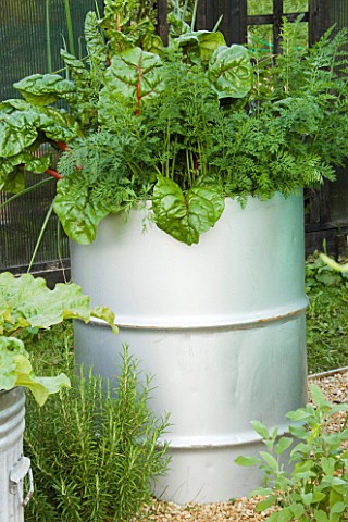 RECYCLED_CONTAINER_OIL_DRUM_PLANTED_WITH_RUBY_CHARD__ONIONS_AND_CARROTS_DESIGNERS_CLAIRE_WARNOCK_AND