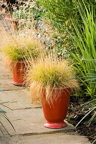 RED_GLAZED_CONTAINERS_PLANTED_WITH_YELLOW_GRASS_PETTIFERS__OXORDSHIRE_DESIGNER_GINA_PRICE