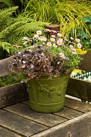 GREEN_GLAZED_CONTAINER_WITH_BROWNLEAVED_GERANIUMS_AND_MARGUERITE_DAISIES_ON_BENCH_DESIGNER_CLARE_MAT