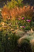 PETTIFERS  OXFORDSHIRE: BORDER WITH STIPA TENUISSIMA  ACHILLEA TERRACOTTA   A PINK ROSE AND CALAMAGROSTIS X ACUTIFOLIA KARL FOERSTER
