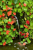 HALL FARM  LINCOLNSHIRE: WATER FEATURE WITH CERAMIC HAND SURROUNDED BY NASTURTIUM HERMINE GRASSHOF
