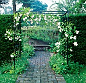 PATH LEADING TO SEAT IN ARBOUR WITH CLIMBING ROSE ADELAIDE DORLEANS. LOWER HALL GARDEN  SHROPSHIRE