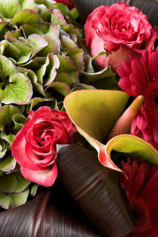 FLOWERBOX_PINK_ROSES_AND_LIME_GREEN_HYDRANGEA_AND_AURUM
