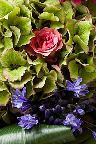 FLOWERBOX_LIME_GREEN_HYDRANGEA__PINK_ROSE_AND_AGAPANTHUS