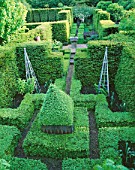 RIDLERS GARDEN  SWANSEA  WALES: BOX AND YEW HEDGING : DESIGNER: TONY RIDLER
