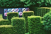 RIDLERS GARDEN  SWANSEA  WALES: VIEW ACROSS YEW HEDGES TO BLACK WALL AND ANDY WARHOL STYLE HELLEBORE PICTURES. DESIGNER: TONY RIDLER