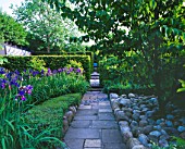 RIDLERS GARDEN  SWANSEA  WALES: DESIGNER: TONY RIDLER - VIEW ALONG PATH TO BLUE BENCH WITH YEW HEDGES  CLIPPED BOX   ROCKS AND IRIS SIBIRICA