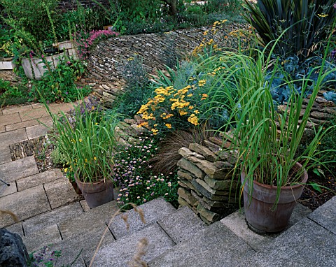 WINGWELL_NURSERY__RUTLAND_STEPS_BESIDE_THE_HOUSE_WITH_TERRACOTTA_CONTAINERS_PLANTED_WITH_PENNISETUM_