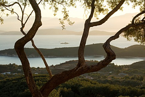 VIEW_OF_THE_IONIAN_SEA_AND_ALBANIAN_MOUNTAINS_FROM_THE_HOUSE_WITH_AN_OLIVE_TREE_IN_THE_FOREGROUND_GI