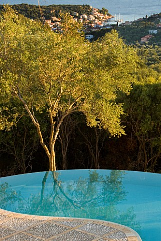 VIEW_TO_THE_COAST_OF_CORFU_FROM_THE_TERRACE_WITH_AN_OLIVE_TREE_AND_INFINITY_SWIMMING_POOL_IN_THE_FOR