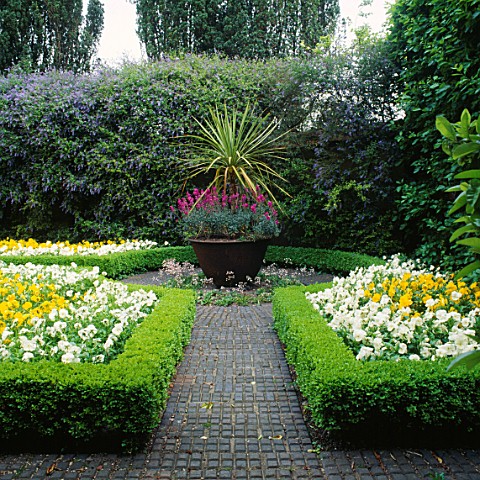 TILED_PATH_BETWEEN_BOXEDGED_BEDS_OF_PANSIES__LEADING_TO_LARGE_URN_WITH_CORDYLINE_TURN_END_GARDEN__BU