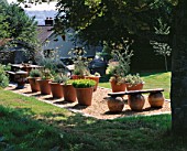 CLARE MATTHEWS GARDEN  DEVON: GRAVEL AREA WITH HERBS IN LARGE TERRACOTTA CONTAINERS WITH HOUSE BEHIND