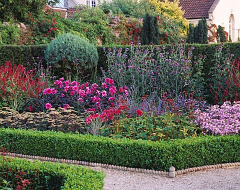 LADY_FARM__SOMERSET_THE_COTTAGE_GARDEN_WITH_DAHLIAS__ECHINOPS__BOX_HEDGING_AND_SEDUMS