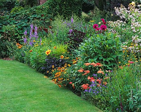 HALL_FARM__LINCOLNSHIRE_HERBACEOUS_BORDER_WITH_DAHLIAS_AND_ACHILLEAS
