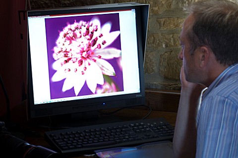 CLIVE_NICHOLS_LOOKING_AT_A_FLOWER_IMAGE_ON_THE_COMPUTER