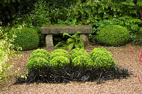 MAYROYD_MILL_HOUSE__YORKSHIRE_DESIGNERS_RICHARD_EASTON_AND_STEVE_MACKAY_BOX_BALLS_WITH_OPHIOPOGON_NI