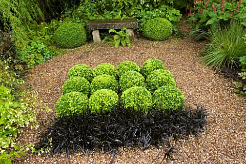 MAYROYD_MILL_HOUSE__YORKSHIRE_DESIGNERS_RICHARD_EASTON_AND_STEVE_MACKAY_BOX_BALLS_WITH_OPHIOPOGON_NI
