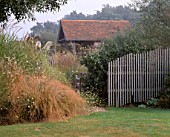 MISTY MORNING AT MARCHANTS HARDY PLANTS  SUSSEX - STIPA ARUNDINACEA  MISCANTHUS SINENSIS STRICTUS WITH PLANT PAVILION BEHIND
