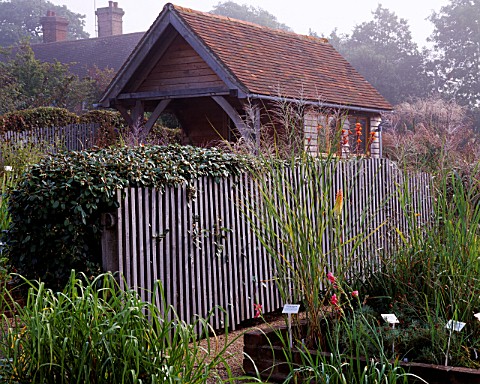 MISTY_AUTUMN_MORNING_AT_MARCHANTS_HARDY_PLANTS__SUSSEX_THE_NURSERY_AREA_WITH_PLANTPAVILION_AND_ELEAG