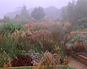 MISTY MORNING AT MARCHANTS HARDY PLANTS  SUSSEX - BIG BORDER WITH MISCANTHUS VARIETIES  CANNA INDICA PURPUREA