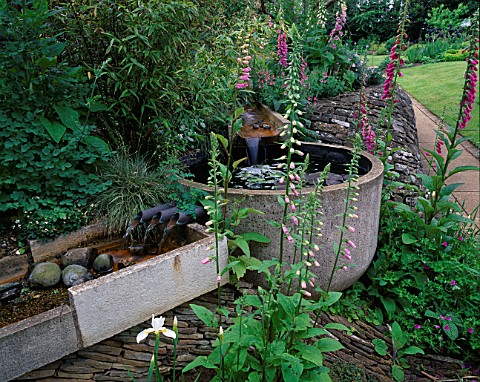 WINGWELL_NURSERY__RUTLAND_WATER_FEATURE_TROUGH_SURROUNDED_BY_FOXGLOVES