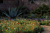 PAN GLOBAL PLANTS  GLOUCESTERSHIRE: THE WALLED GARDEN WITH AGAVE AMERICANA IN THE FOREGROUND