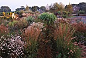 AUTUMN BORDER OF MIXED GRASSES AND PERENNIALS  HOUSE IN BACKGROUND: MARCHANTS HARDY PLANTS  SUSSEX - GAURA LINDHEIMERI  MOLINIA KARL FOERSTER  PENNISETUM SETACEUM