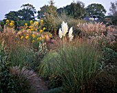 AUTUMN BORDER OF MIXED GRASSES AND PERENNIALS BESIDE BRICK PATH  AT MARCHANTS HARDY PLANTS  SUSSEX - CORTADERIA SELLOANA AUREOLINEATA  HELIANTHUS SALICIFOLIUS  MISCANTHUS