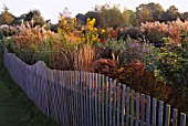 OCTOBER BORDER OF MIXED GRASSES AND PERENNIALS BESIDE PICKET FENCE  AT MARCHANTS HARDY PLANTS  EAST SUSSEX. CALAMAGROSTIS KARL FOERSTER  CORTADERIA SELLOANA AUREOLINEATA