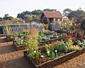 VIEW ACROSS NURSERY BEDS AT MARCHANTS HARDY PLANTS  SUSSEX